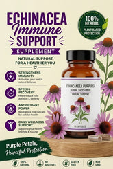 Echinacea Immune Support - Forbes outlet’s