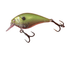 Copper Green Shad - Forbes outlet’s