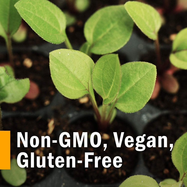 cholesterol health liquid supplement, Close-up of green plant sprouts labeled Non-GMO, Vegan, Gluten-Free.