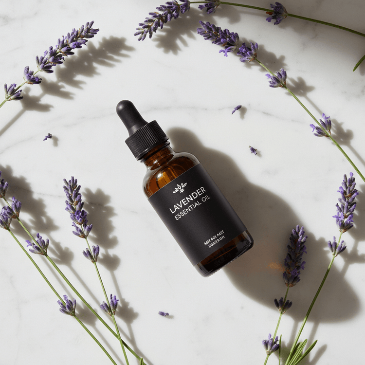 Lavender Essential Oil - Forbes outlet’s