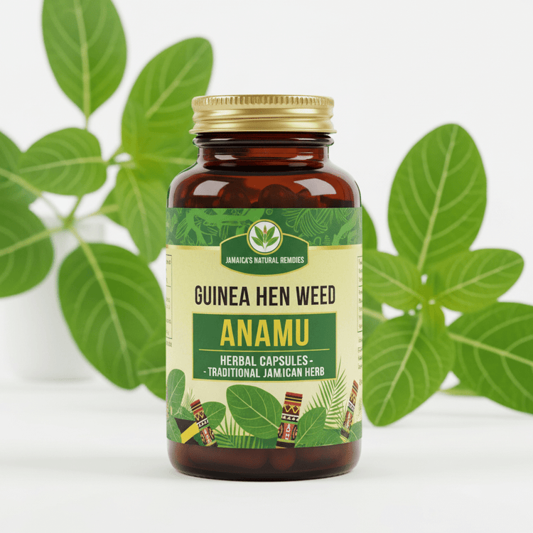 Guinea Hen Weed (Anamu) Capsules - Forbes outlet’s