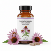 Echinacea Immune Support - Forbes outlet’s
