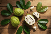 Soursop Leaf Tea - Forbes outlet’s