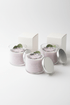 Aromatherapy Candle Set - Forbes outlet’s